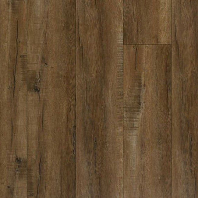 Republic European Collection Rome