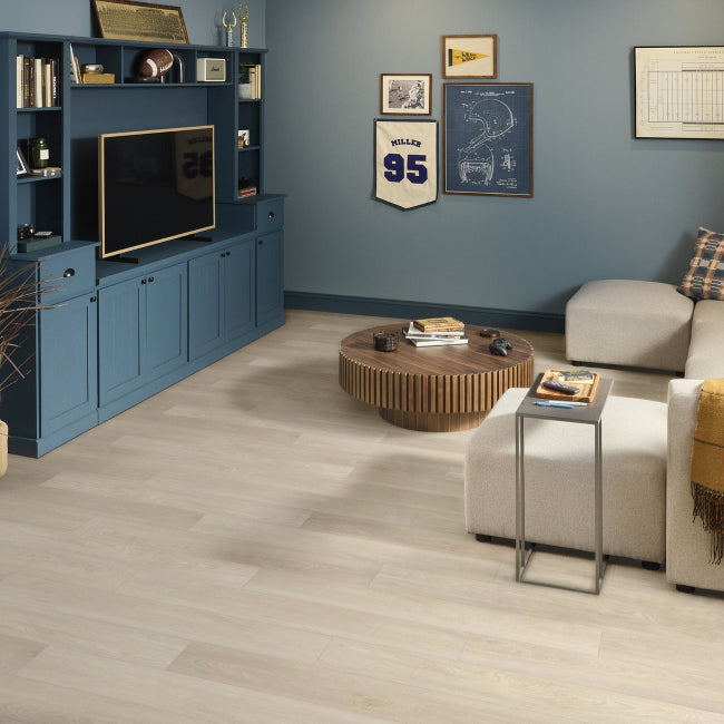 Shaw Floors Endura Plus Silver Dollar