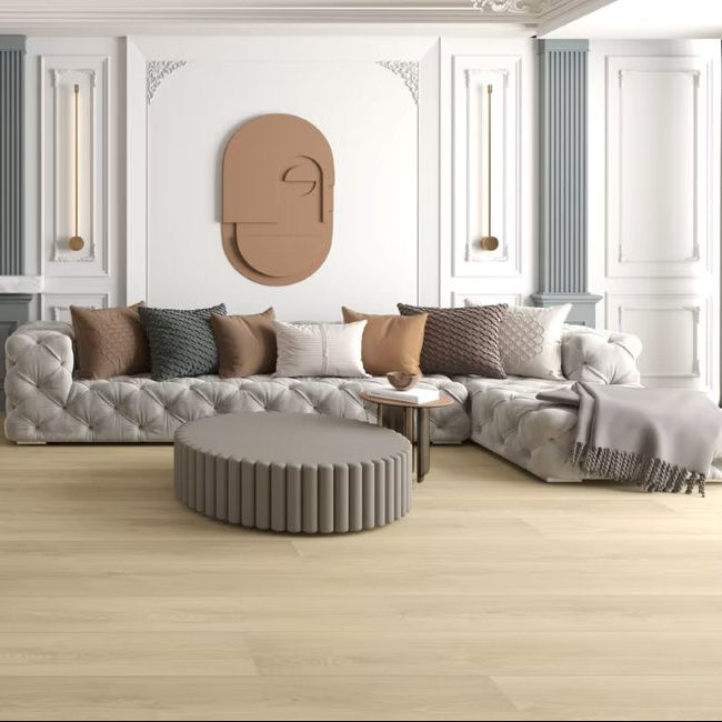 Paradigm Performer Plus Collection Swallow