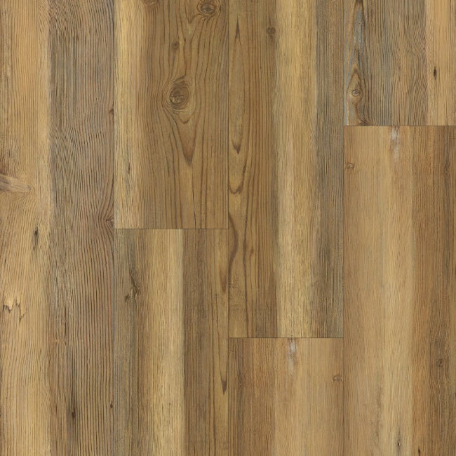Happy Feet International Dynamic Plus Savannah Pine