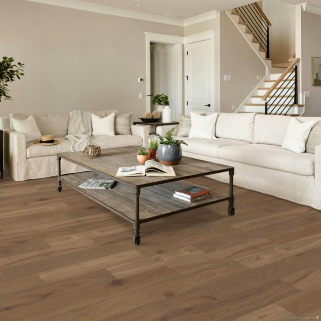 Shaw Expressions Collection Watercolor