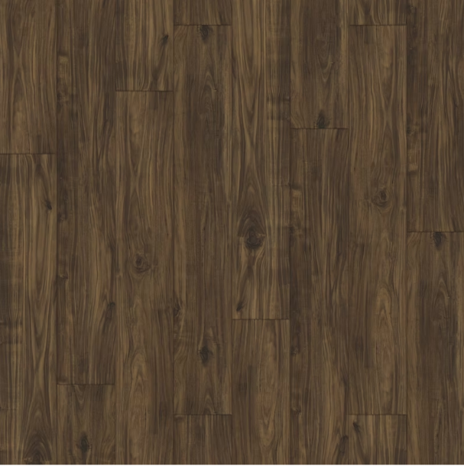 Paradigm Insignia Collection Dove