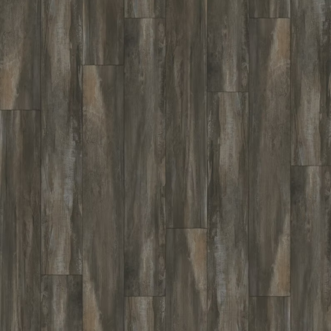 Paradigm Insignia Collection Nile