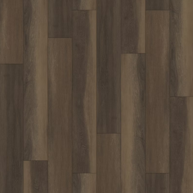 Paradigm Insignia Collection Kailua