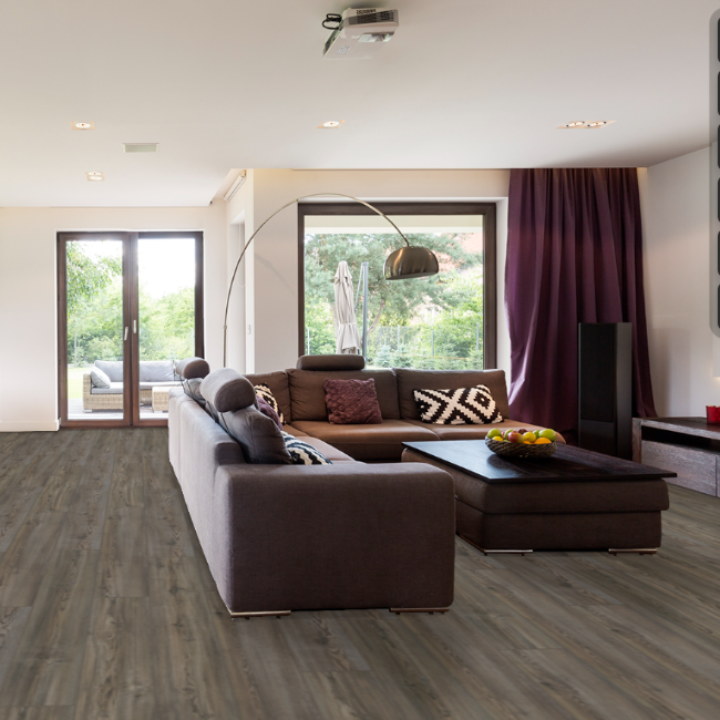 Happy Feet International Dynamite Plus Ponderosa