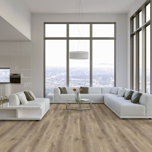 Happy Feet International Pinnacle Edinburgh