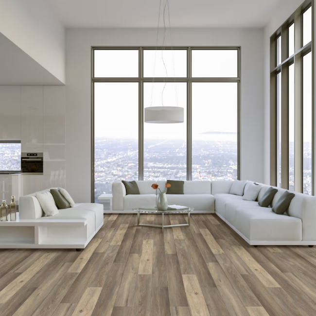 Happy Feet International Pinnacle Argyll*