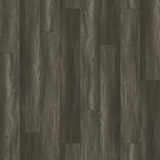 Paradigm Insignia Collection Shark Bay