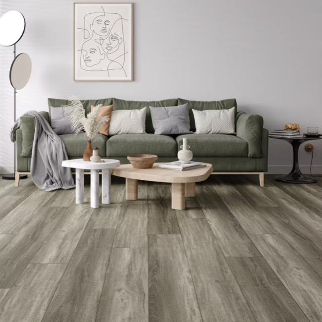 Paradigm Insignia Collection Shark Bay