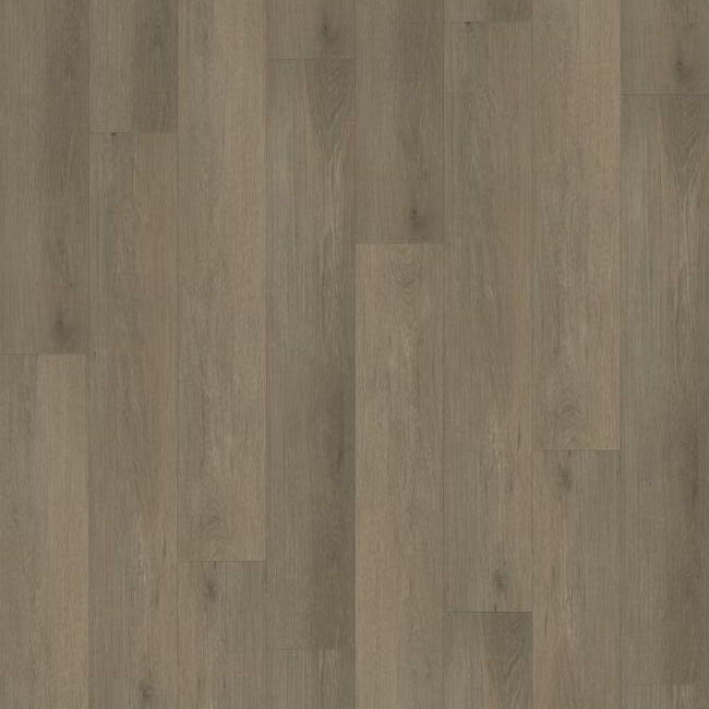 Paradigm Performer Plus Collection Tern