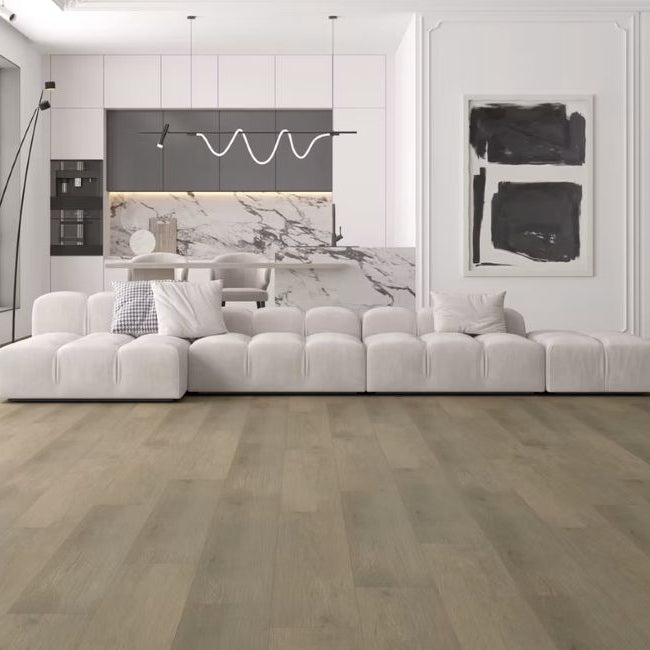 Paradigm Performer Plus Collection Tern