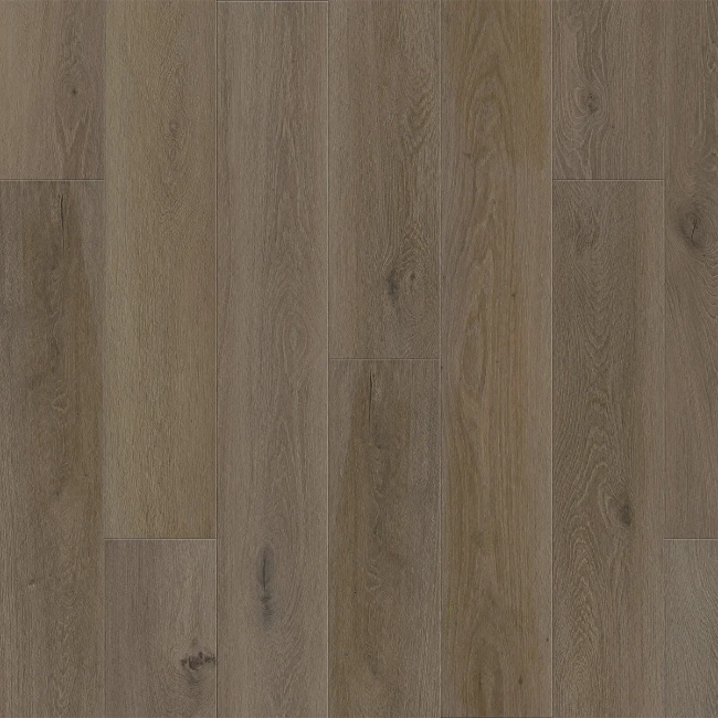 DUCHATEAU Portfolio Edition Terre