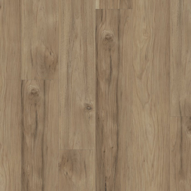 Shaw Floors Luxury Vinyl Classic Series Ignite Torchwood