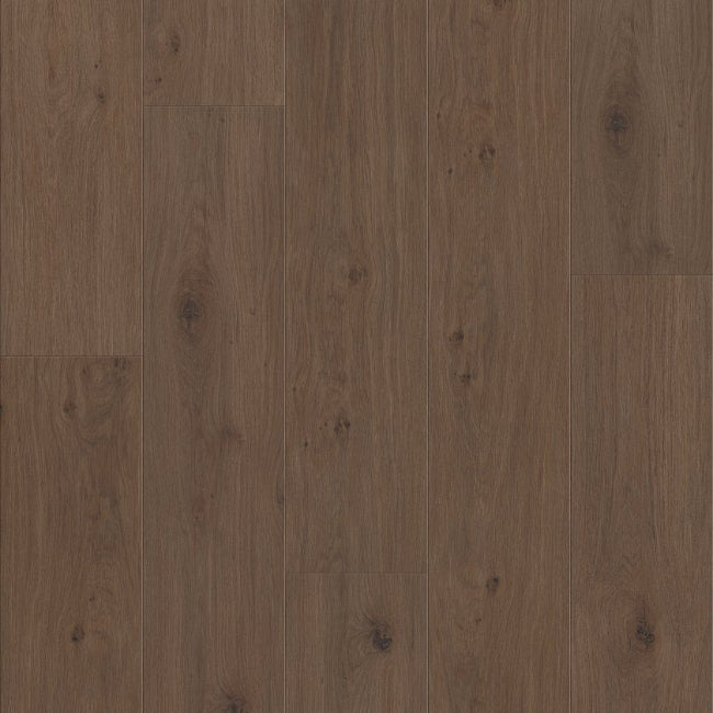 Shaw Floors  Luxury Vinyl Pro Series Fresh Take Tuxedo Bronze