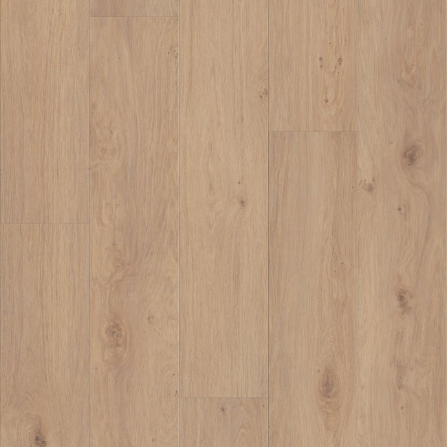 Shaw Floors  Luxury Vinyl Pro Series Fresh Take Occasional Beige