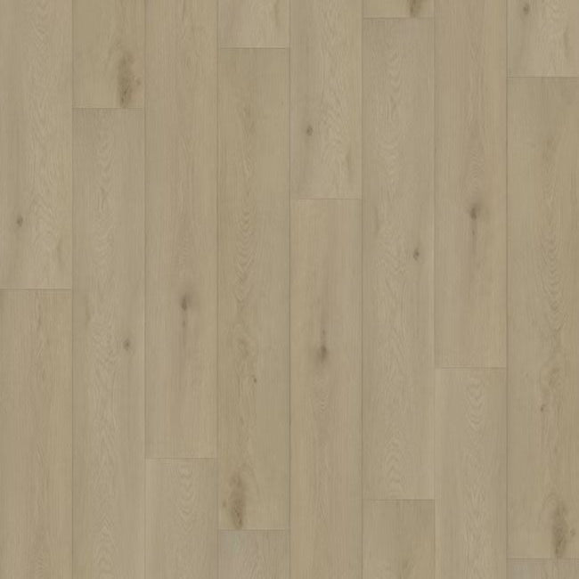 Paradigm Performer Plus Collection Warbler