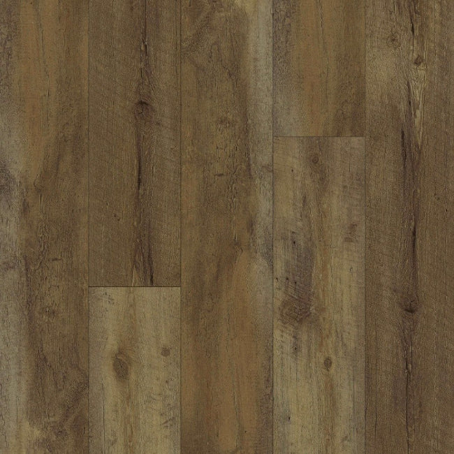 Happy Feet International Ironman European Oak