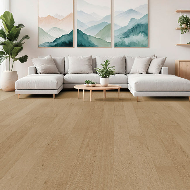 Provenza Cadeau Collection Cadence