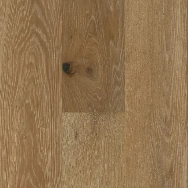 Premier Collection Cider