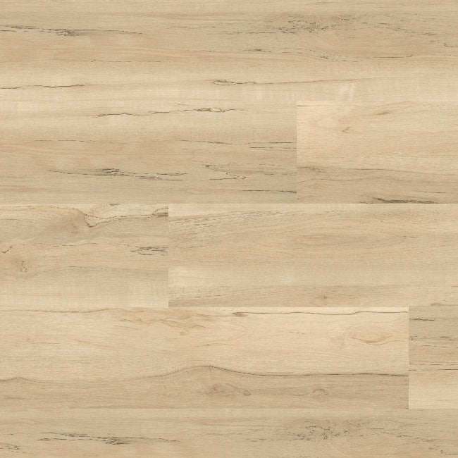 MSI Cyrus Collection Akadias