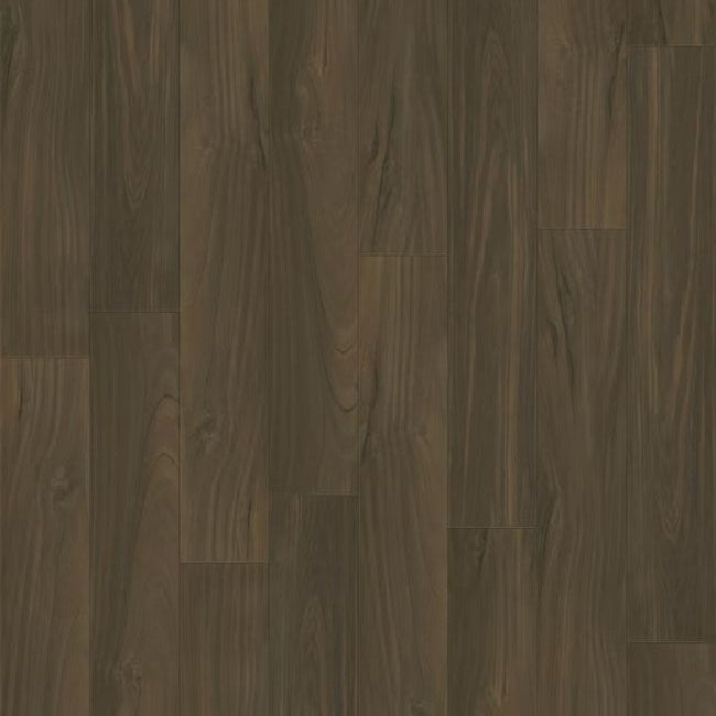 Paradigm Performer Plus Collection Dove