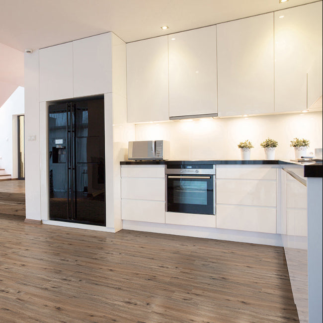 MSI Cyrus 2.0 Collection Fauna