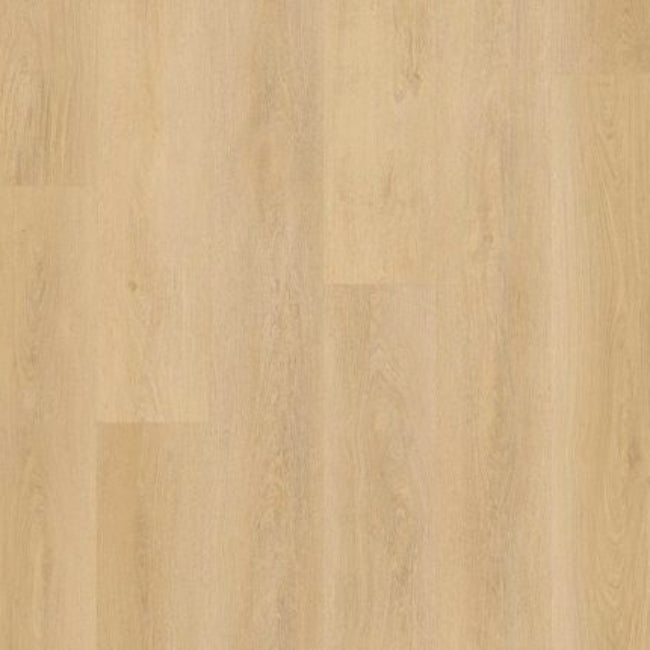 Lions Floor Bevelmark Collection Shadow Reveal