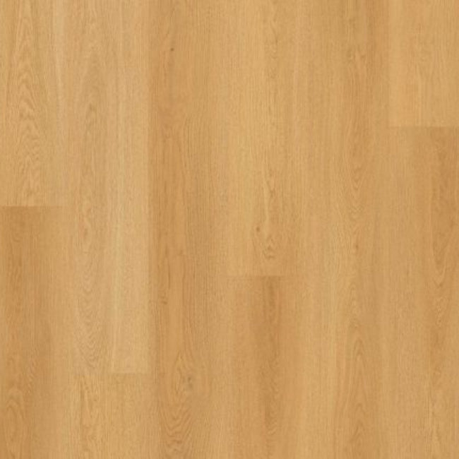 Lions Floor Bevelmark Collection Sculpted Notch