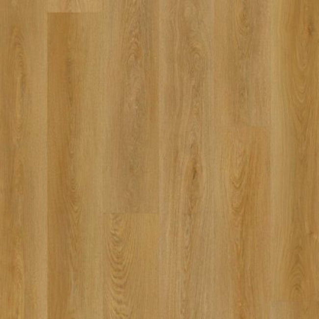 Lions Floor Bevelmark Collection Joiner Path