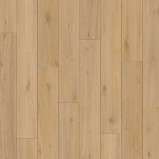 Lions Floor Lions Reservation Collection Tallgrass Drift