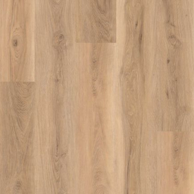 Lions Floor Lions Reservation Collection Suncrest Plateau