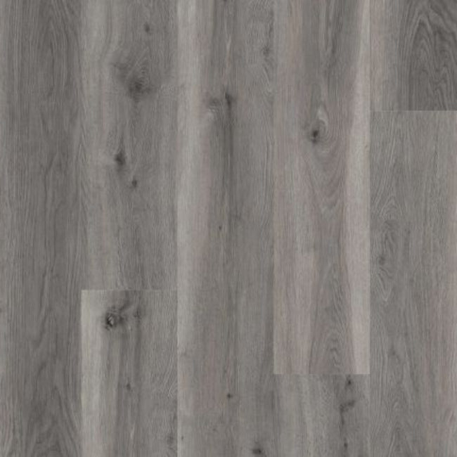 Lions Floor Lions Reservation Collection Migration Path