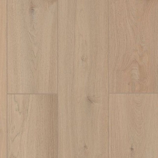 Lions Floor Lone Star Spirit XL Sea Shell