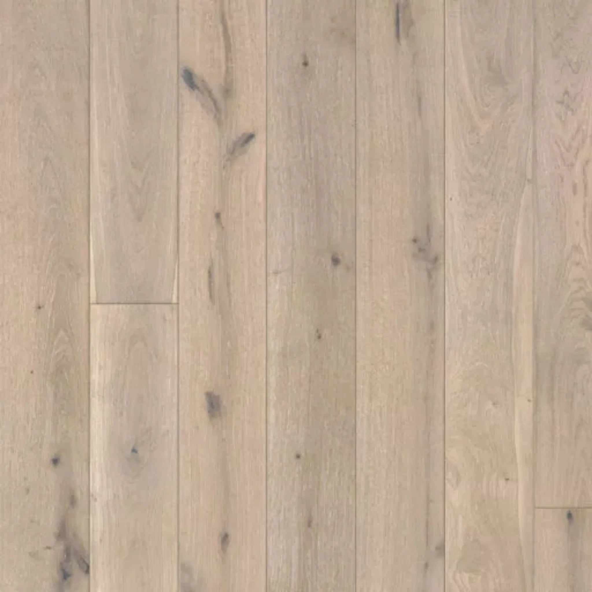 Close-up of a wooden floor with a natural finish