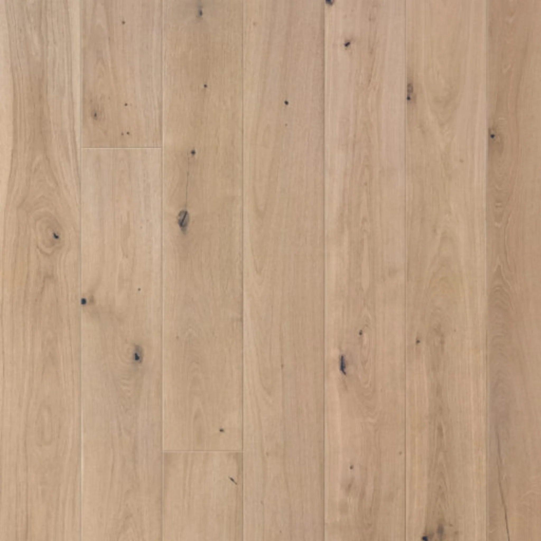 Close-up of a wooden floor with visible grain and texture