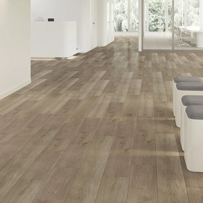 Paradigm Conquest Collection Chateau