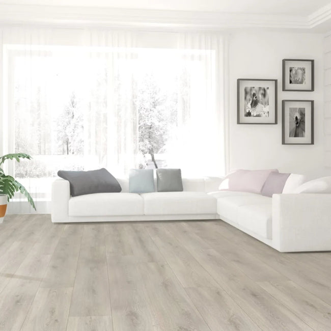 Paradigm Conquest Collection Armor