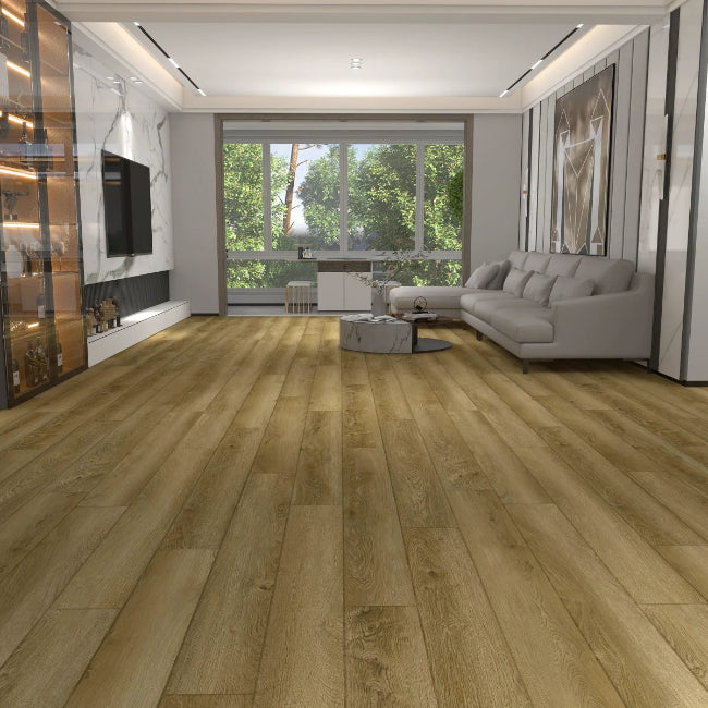 Paradigm Conquest Collection Canterbury