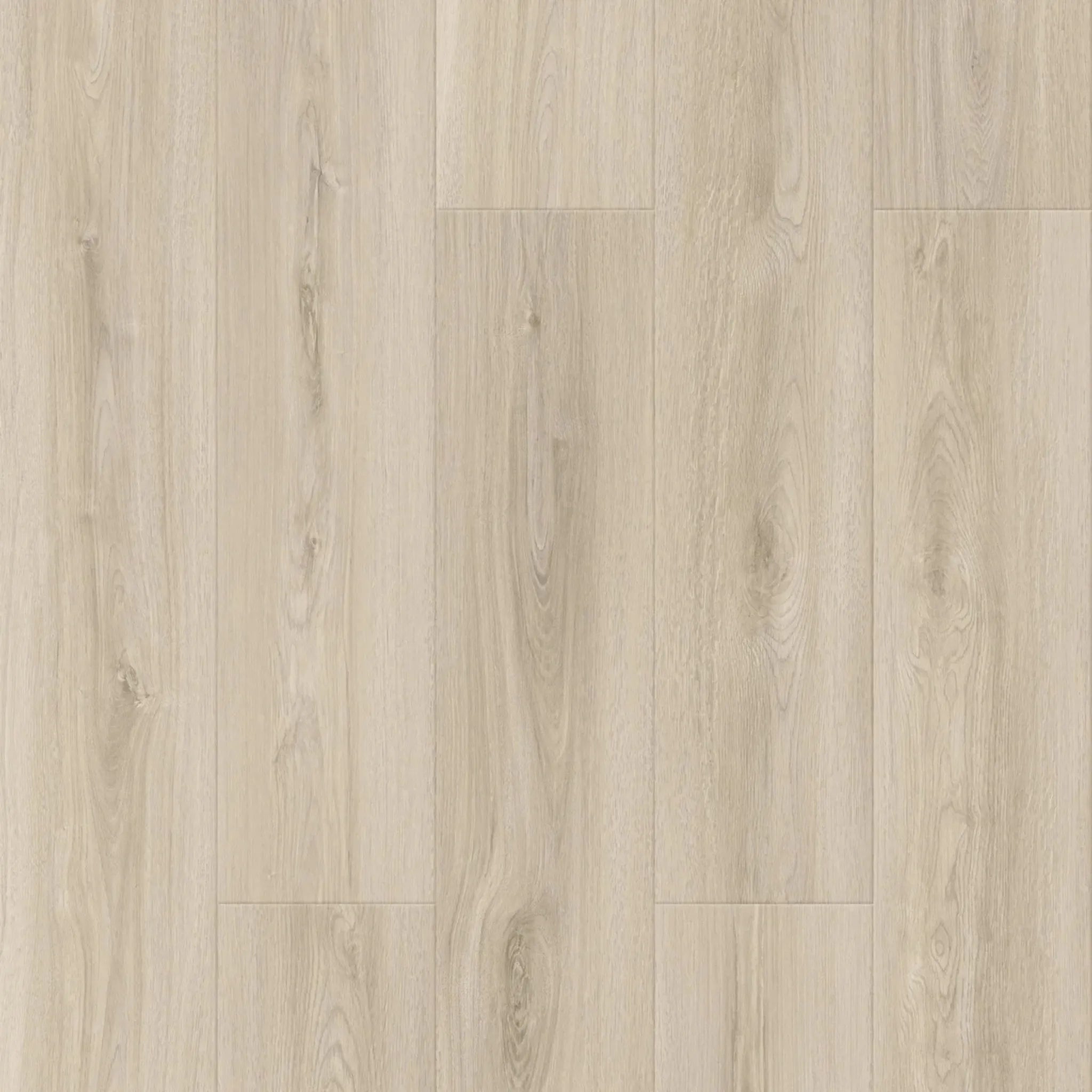 sampleimageofhydroprobedrockmist