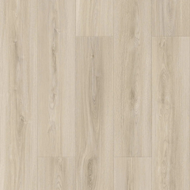 sampleimageofhydroprobedrockmist