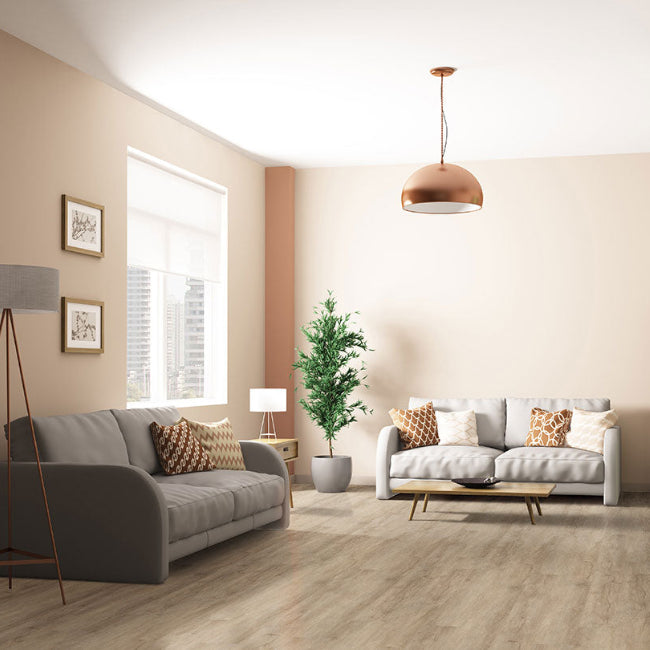 MSI Cyrus Collection Sandino