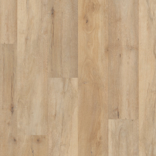 COREtec Floors COREtec Pro Premium Collection Brookfield Maple