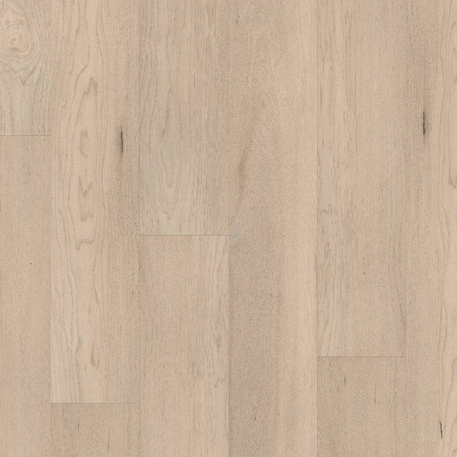 COREtec Floors Pro Premium Norfolk Maple
